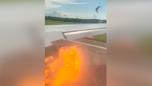 Два орла врезались в самолет с россиянами на Кубе
