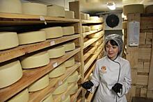 Как на Среднем Урале производят известный европейский сыр