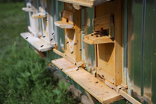 Всероссийский проект "Твой Ход" помогает молодым людям найти интересную работу