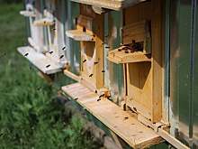 Всероссийский проект "Твой Ход" помогает молодым людям найти интересную работу