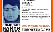 В Курске пропал 12-летний мальчик