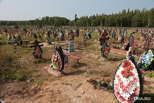 Кладбища перми фото