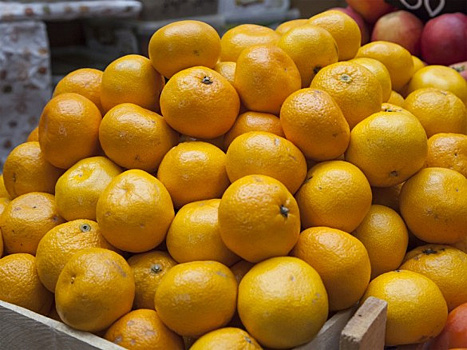 Почти 25 тонн зараженных африканских мандаринов задержали в порту Санкт-Петербурга