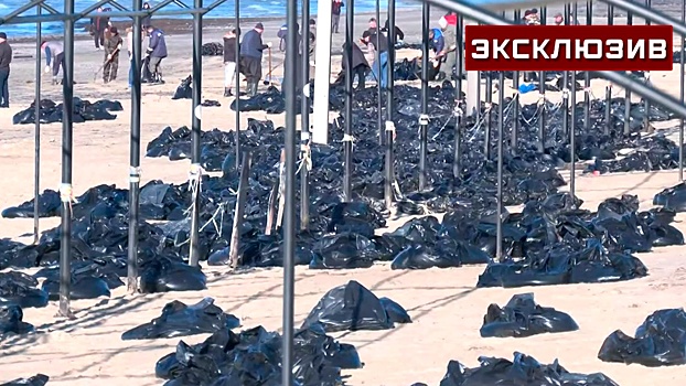 Волонтеры рассказали, что мешает утилизировать собранный у Кубани мазут