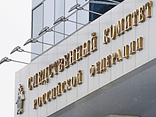 Бастрыкин попросил доклад по делу о нападении собаки на ребенка в Сызрани