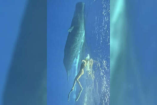 На Маврикии блогершу Погребняк пришлось спасать от кита