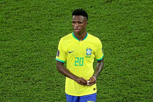 Пресс-атташе сборной Бразилии жестоко бросил кота на пресс-конференции