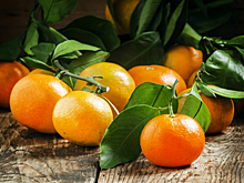 С 29 октября остановят ввоз турецких мандаринов из-за чрезмерного содержания пестицидов