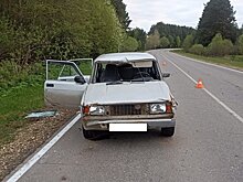 В Санчурском районе мужчина на «Жигулях» сбил лося