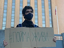 Greenpeace: ущерб от вырубки леса и уничтожения почвы в Волго-Ахтубинской пойме составил более 127 млн рублей