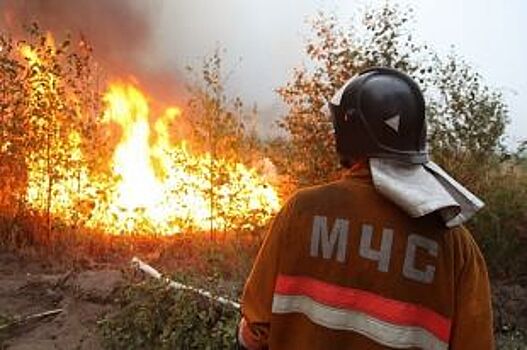 10 пожаров потушили в южноуральских лесах за выходные