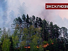 Специалист Бойко: от лесного пожара можно спастись на просеке или в водоёме