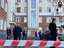 Убийство семьи Мельниковых связано с психическим срывом бизнесмена после санкций