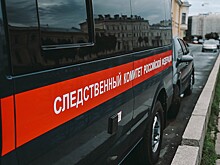 Расследование совершенного в 2011 году убийства завершили в Московской области