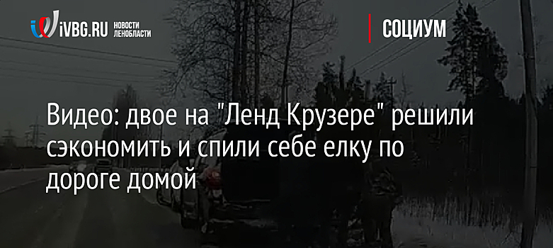 Видео: двое на "Ленд Крузере" решили сэкономить и спилили себе елку по дороге домой