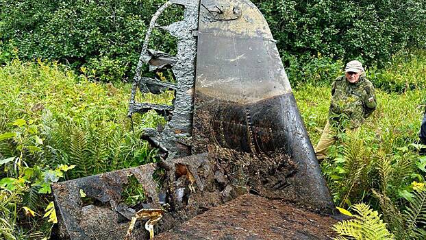 Самолет времен Второй мировой P-63 Kingcobra подняли со дна озера на Камчатке