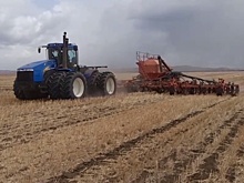 45% посевной площади Забайкалья засеяли яровыми культурами