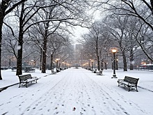 Петербург готовится к снежным испытаниям: синоптик Колесов предвещает обильные осадки