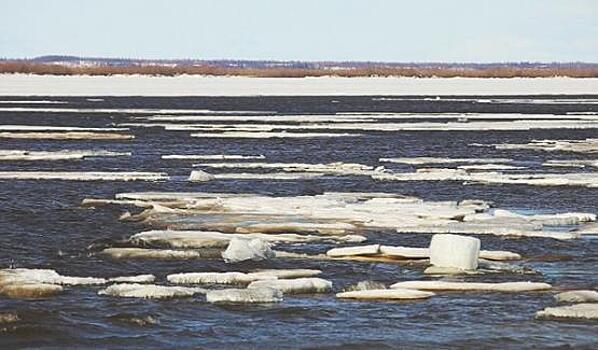 Водой с Аральским морем может поделиться Обь