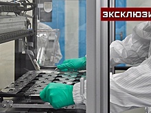 Эпидемиолог оценила риск заразиться микоплазменной пневмонией