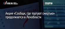 Акция «Сообщи, где торгуют смертью» продолжается в Ленобласти