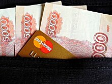 Запрет коллекторской деятельности нужно заменить пересмотром действующего закона - Ордов