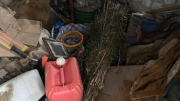 В Запорожской области полицейские изъяли у жителя посёлка Розовка более полукилограмма марихуаны