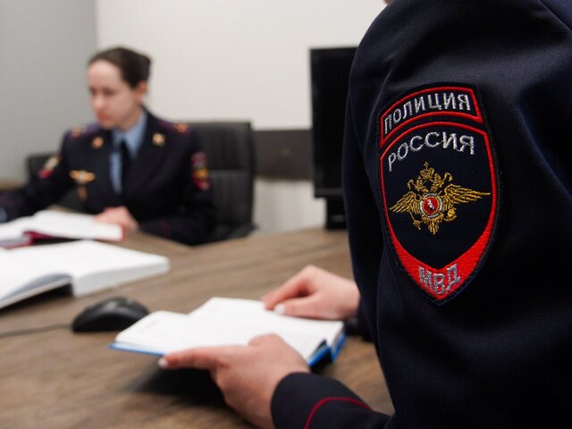 Бастрыкин поручил доложить о расследовании нападения женщины на мальчика в Домодедово