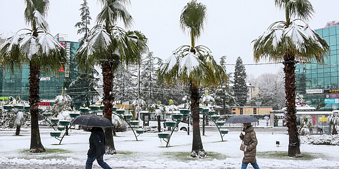 Пальмы в снегу: на юг России внезапно пришли сибирские морозы