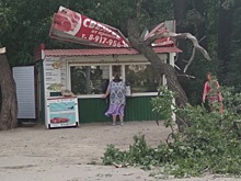 На 18-м километре Московского шоссе дерево рухнуло на торговый павильон