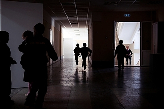 Должность советника директора по воспитательной работе введут в российских школах