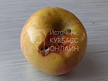 Жительница Кузбасса пожаловалась на качество школьной еды