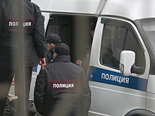 СМИ: куратором радикального движения SERB был майор МВД