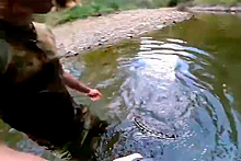 Юноша поплавал в ручье с трехметровым питоном и попал на видео