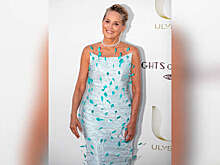 Актриса Шэрон Стоун вышла на публику в облегающем платье с открытыми плечами