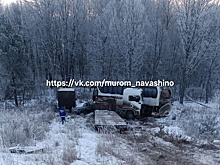 Массовое ДТП с автобусом и фурами произошло в Нижегородской области