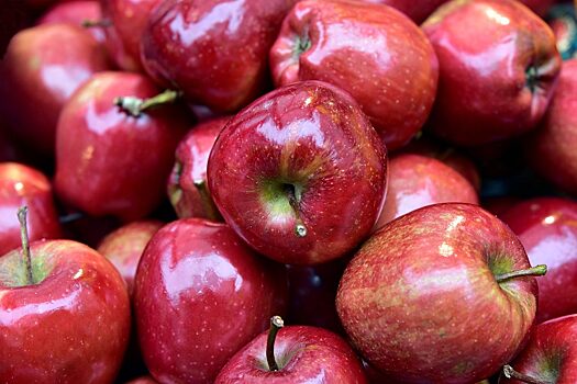 В Краснодаре уничтожили 400 кг запрещенных яблок