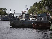 Сети для золотых рыбок. К псковичам вернулся снеток и возвращается ряпушка