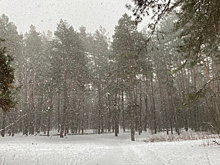 Курских водителей попросили не мешать работе уборочной техники