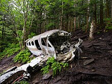 В Индии самолёт рухнул на жилые дома, на борту было более 240 человек. Что известно о трагедии