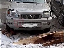 Полиция Калининграда фиксирует «автожертв» урагана Никлас