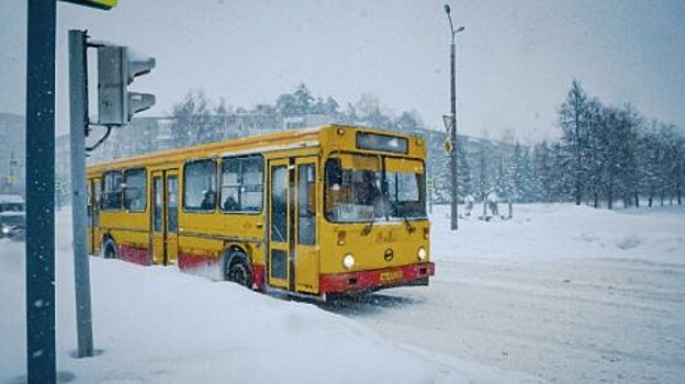 Коронавирус катастрофически сказался на работе транспорта в Заречном