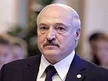 "Чтобы идти путем Белоруссии, надо иметь систему"