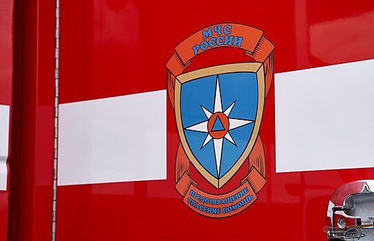 В Челябинской области в пожаре погибли трое взрослых и 9-летняя девочка
