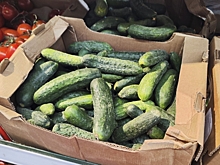 Популярные продукты на Урале стоят дешевле, чем год назад: на чем можно сэкономить