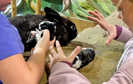 Москвичи требуют закрыть популярный контактный зоопарк на западе столицы