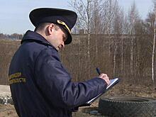 «Стараемся вести предупредительную работу»: инспекторы Госадмтехнадзора проверили Истру на чистоту