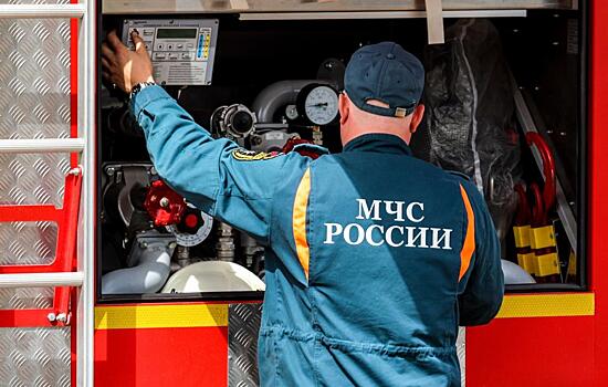 Стала известна возможная причина крушения Ан-24 в Приамурье