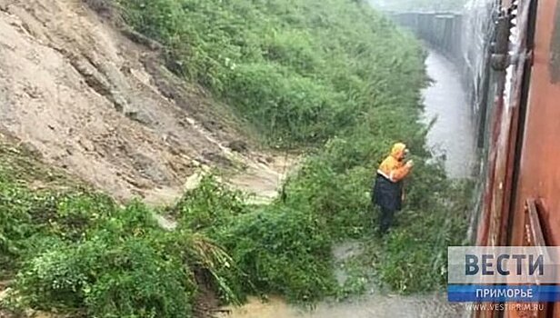 Движение по Хасанской железнодорожной ветке в Приморье полностью восстановлено