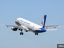 Самолет «Уральских авиалиний» столкнулся со стаей птиц